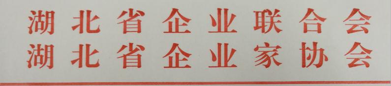 7.27 湖北省企业联合会、湖北省企业家协会红头.JPG