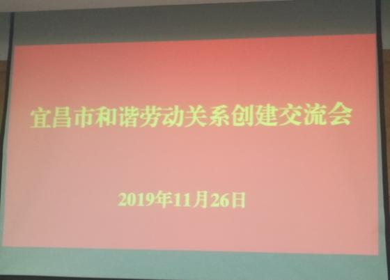 11.29 会标-1.JPG