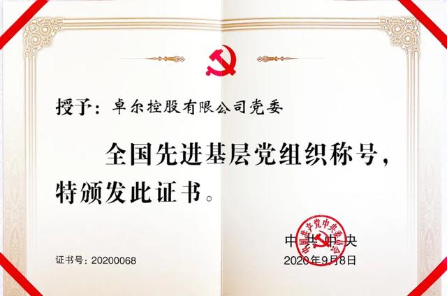 3－卓尔荣获“全国先进基层党组织”荣誉称号.jpg