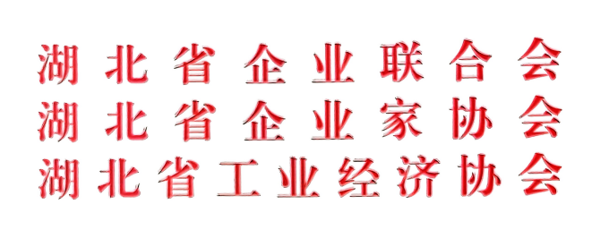 湖北省企业联合会、湖北省企业家协会、湖北工业经济协会 红头.png