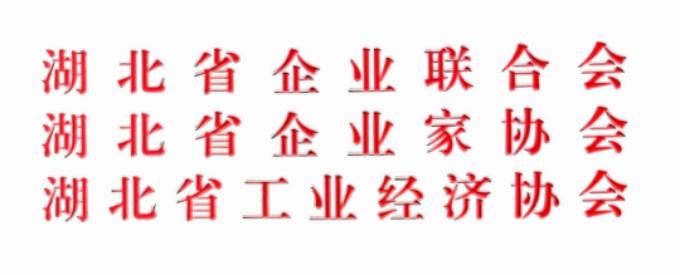 湖北省企业联合会、湖北省企业家协会、湖北工业经济协会 红头.jpg