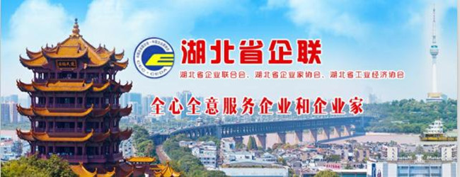 1－湖北省企业联合会／企业家协会网站头_副本.jpg