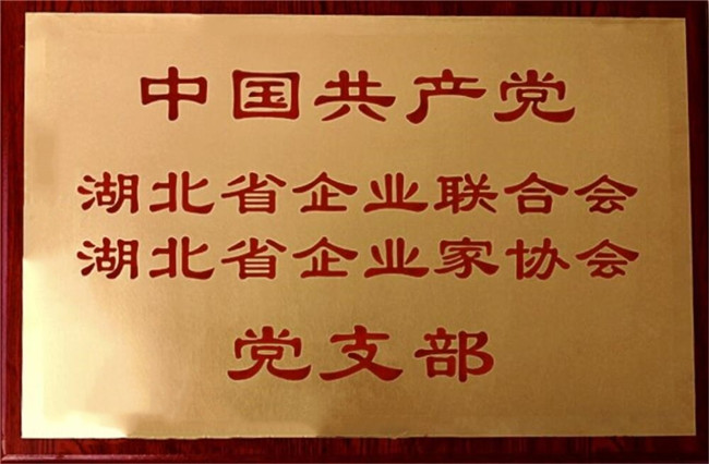 2-湖北省企联党支部牌匾_副本.jpg