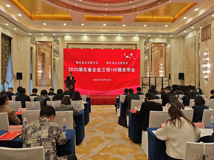 2－2025湖北企业三项100强发布会会场 02101_副本.jpg