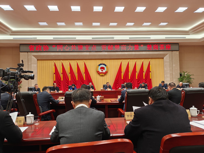 1764632796329107.jpg 1-湖北省政协第七期“楚商茶座”会场 128_090629_副本.jpg